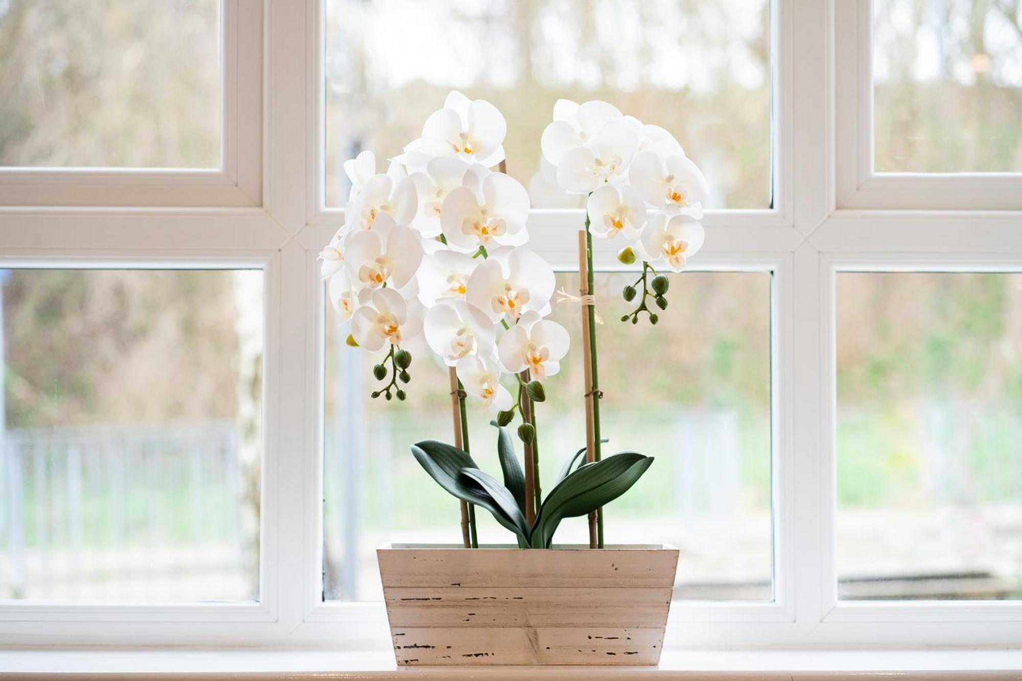 Entire 4 Bed Cosy Luxury Spacious House Huntingdon Buitenkant foto